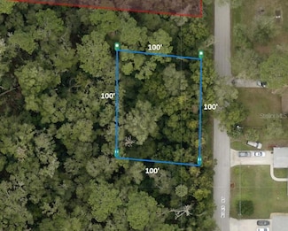 31633 Niles St, Mount Plymouth, FL 32776