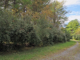 TBD Blue Lake Ln, Laurel Fork, VA 24352