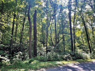 Tract Abc Dyer Hollow Rd, Mohawk, TN 37810