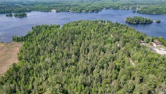 XXX Forest Dr, Fredenberg Township, MN 55803