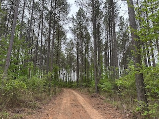 0 Spay Rd, McCool, MS 39108