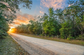 TBD Rimrock St, Webster, FL 33597