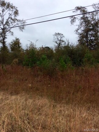 00 Dove Ln, Tuskegee, AL 36083