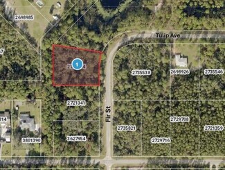 0 Fir St Unit MFRG5096887, Eustis, FL 32736