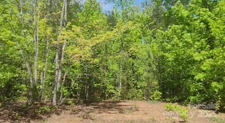 3601 Big Level Rd, Mill Spring, NC 28756