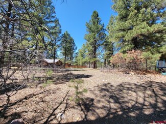 126 Gala Place, Pagosa Springs, CO 81147
