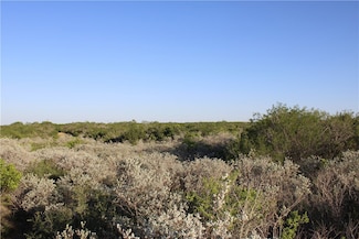 0 County Road 330, San Diego, TX 78384