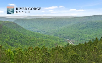 Lot 1365 Split Rail Way, Guild, TN 37340