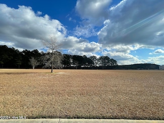 1171 Seasons End Ln, Grimesland, NC 27837
