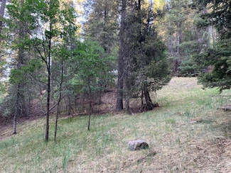 110 Wimsatt Loop Unit 146, Cloudcroft, NM 88317
