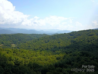 0 Mountain Forest Estates Rd Unit CAR4215266, Sylva, NC 28779