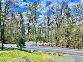 269 N Shore Rd, Spofford, NH 03462