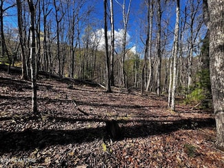 131 Pineridge Loop, Crossville, TN 38558