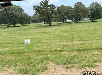 LOT 11 TBD Private Road 3398, Big Sandy, TX 75755