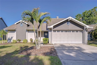 2015 Branch Tree Ln, Brandon, FL 33511