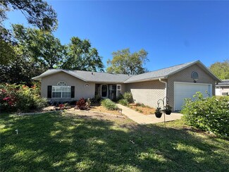 36703 Sandy Ln, Grand Island, FL 32735