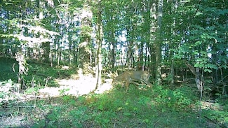 V/L Manning Lake Rd, Battle Creek, MI 49017