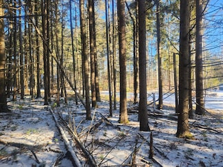 Lot 1 Pickerel Dr, Lac Du Flambeau, WI 54548