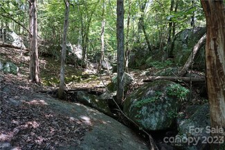 20 +/- AC Shillinglaw Rd, Sharon, SC 29742
