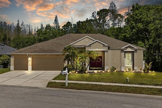 26249 Sword Dancer Dr, Wesley Chapel, FL 33544