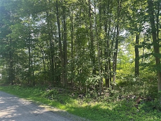 0 Charlotte Ave, Conneaut Lake, PA 16316