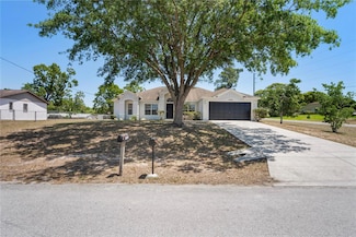 13098 Hanley Dr, Spring Hill, FL 34609