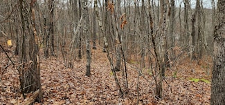 0 Richards Rd Unit 24140078, Kent, CT 06785