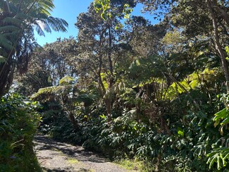 0 Ainahau Rd, Volcano, HI 96785