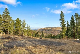 0 Morrison Canyon Ln, Cle Elum, WA 98922