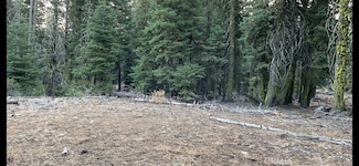 0 Bridle Rd, Alturas, CA 96101