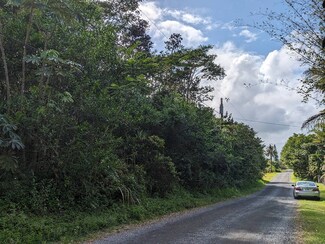 723 11th Ave, Hawaiian Paradise Park, HI 96749