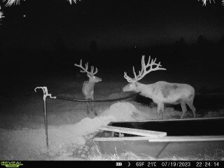 TBD W Parrot Creek Rd, Roundup, MT 59072