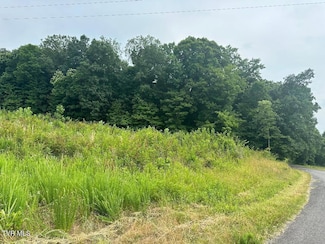 Tbd Flora Rd, Rogersville, TN 37857