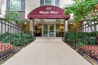 201 S Maple Ave Unit 206, Oak Park, IL 60302