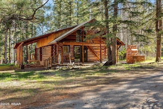 7 County Road 2044, Alpine, AZ 85920