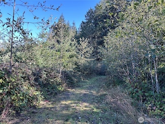 0 nka Mount Brynion Rd, Kelso, WA 98626
