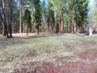 XX Old Toll Rd, Little Valley, CA 96056