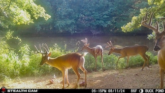 000 12552 E 550 Rd, El Dorado Springs, MO 64744