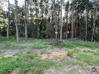 Lot 2 Trojan Way, Byron, GA 31008