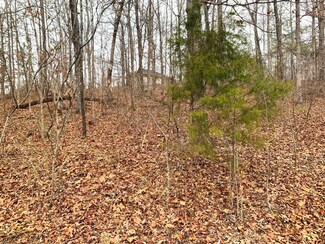 0 Springwood Dr, Selmer, TN 38375