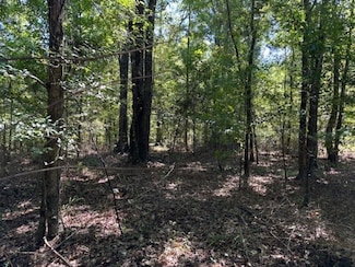 5785 Meadville Rd, Meadville, MS 39653