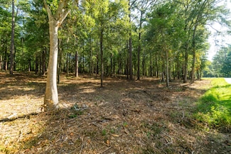 0 Magellan Rd, Hattiesburg, MS 39402