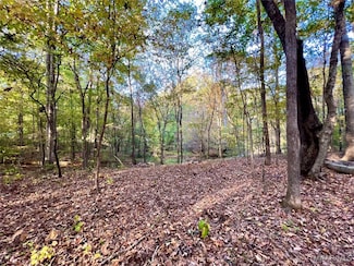 0 Strickland Landing Unit 565900, Autaugaville, AL 36003