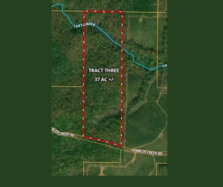 0 Gobbler Creek Rd Unit Tract 3 11528981, Wedowee, AL 36278