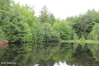 L 30.1 Pucker St, Thurman, NY 12885