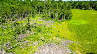 Parcel F S Mill Creek Rd, Purvis, MS 39475