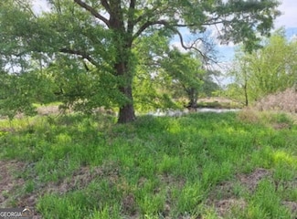 0 W Old Savannah Rd Unit TRACT 2 10481889, Millen, GA 30442