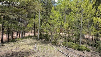 1058 Bennett Dr, Cripple Creek, CO 80813