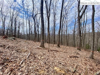 TBD Old Chestnut Mountain Rd, Newland, NC 28657