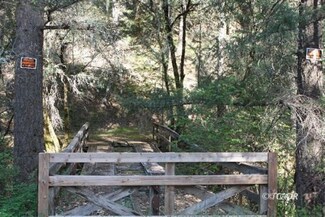 2381 Little Browns Creek, Weaverville, CA 96093